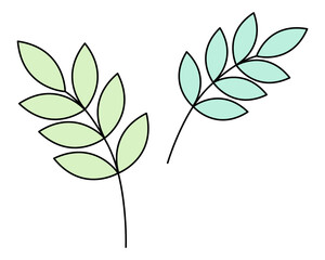 Two branches from a rowan tree. Green vegetation. Leaves on the stem. Set of color vector illustrations. Cartoon style. Isolated background. Idea for web design.