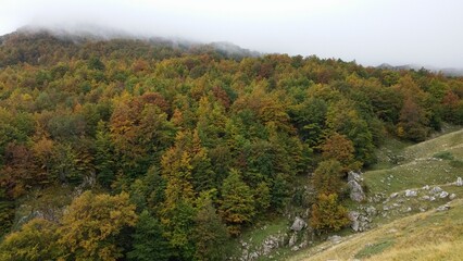 Obraz premium autumn in the mountains