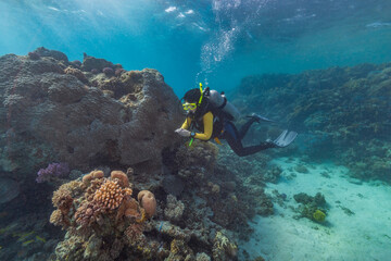 A female diver admires sea corals in the Red Sea, Egypt.