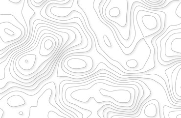 White wave paper curved reliefs abstract background, Abstract topographic contours map background. Geographic mountain relief. Abstract lines background. Contour maps. Business concept.
