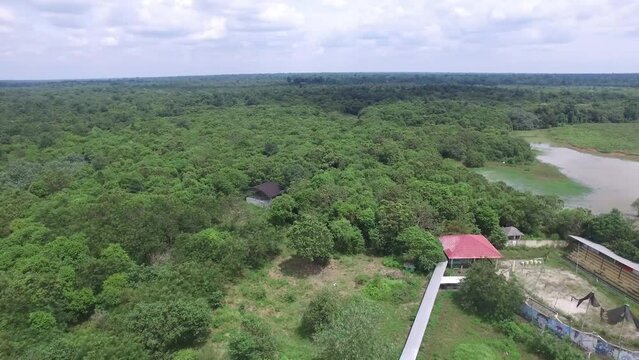 view from the top of a drone camera, meadows and trees in Indonesia's Way Kambas Forest National Park.