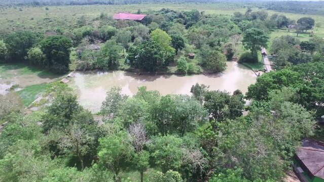 Pemandangan sungai dan pepohonan di Taman Nasional Hutan Way Kambas Indonesia.