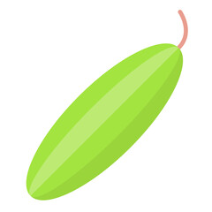 Cucumber Flat Multicolor Icon