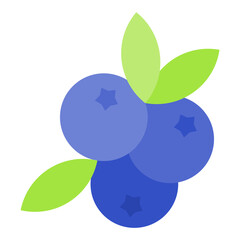 Blueberry Flat Multicolor Icon