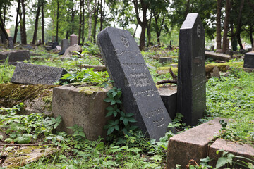 Žaliakalnio žydų senosios kapinės | Jewish Cemetery Kaunas | 004