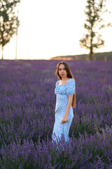 Attractive slender happy girl in a blue dress in a lavender field at sunset.