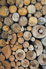 Schnittflächen vieler zu einem Stapel geschichteter Baumstämme als Hintergrund