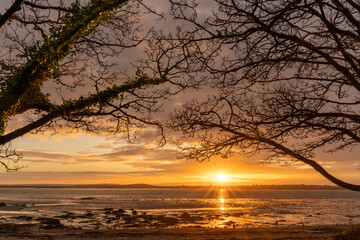 Fototapeta na wymiar Penrhos Nature park at sunrise Isle of Anglesey North Wales