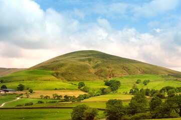 Obraz premium Paragliders over the Forest of Bowland