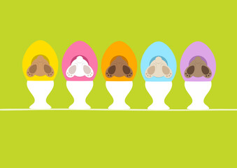 Karte 5 Osterhasen In Ei Eierbecher Hinten Grün © Jan Engel