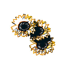 Color sketch of a sunflower with transparent background