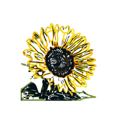 Color sketch of a sunflower with transparent background