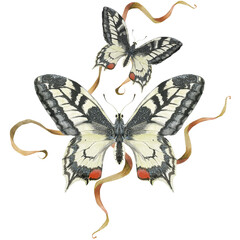 Machaon butterflies and meadow plants. Watercolor nature illustration, composition for greetings and any cards