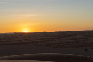 Fototapeta na wymiar Wahiba desert