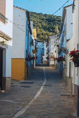 Fototapeta na wymiar street of typical Andalusian town in the province of Malaga (Jimena de libar)