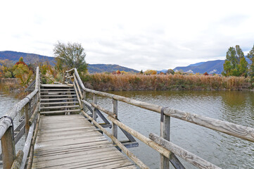 Fototapeta premium Autunno in Franciacorta, le paludi della Torbiera di Sabino (Brescia) 