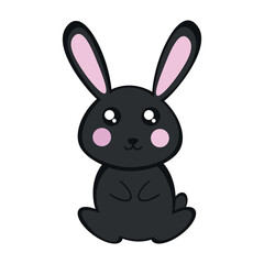 Black cute rabbit