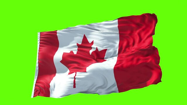 Canadian Flag Green Screen Footage For Video Projects