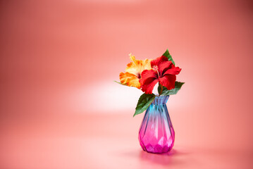 ガラスの瓶とハイビスカス