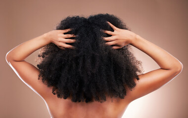 Hands in hair, black woman with afro and beauty, haircare and cosmetics with back on studio...