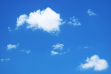 Obraz premium Fluffy Pure White Clouds Floating on Vivid Blue Sky