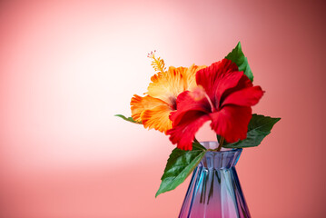 ガラスの瓶とハイビスカス