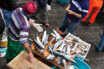 Fish vendor promoting its merchandise to potential customers in La Pescheria, the popular fish...