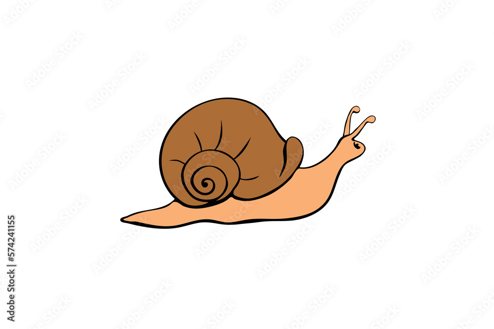 Poster vector color cute snail in flat style with spiral shell, side view, isolated. natural element design