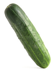 Cucumber isolated on a white background vertically.