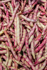 A full frame photograph of borlotti beans in their shell, with a shallow depth of field