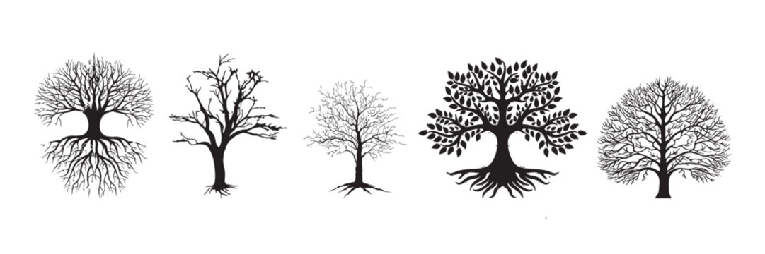 Set of trees silhouette isolated on white background.