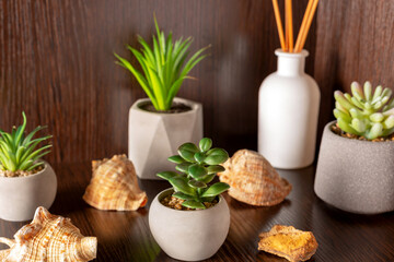 Wooden shelf with flowers and shells