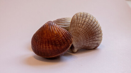 schwarz weiß Konfekt in Muschelform fokussiert.