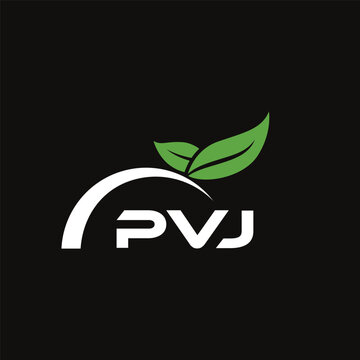 PVJ letter nature logo design on black background. PVJ creative initials letter leaf logo concept. PVJ letter design.