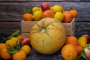 Freshly picked lemons, oranges, tangerines, apples and pumpkin in a Wooden Crate.