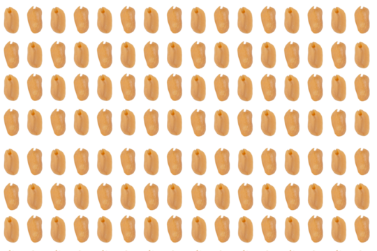 Salted roasted peanuts isolated on transparent background
