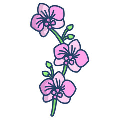 orchid flower icon