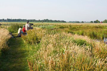 Groene Jonker, Zevenhoven, Netherlands