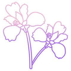 Iris flower icon