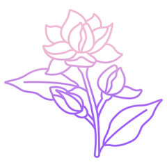 Jasmine flower icon