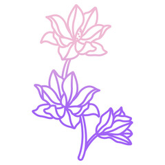 magnolia flower icon