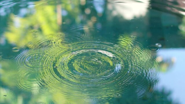 Reflection of tropical plants with water drops over the water , relaxation with water ripple drops concept , filmed on cinema slow motion camera at 160 fps