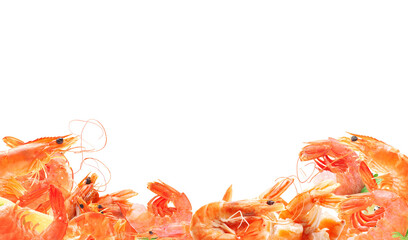Shrimps on white background isolated