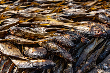 Tanjil Fishing village The Gambia