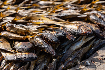 Tanjil Fishing village The Gambia