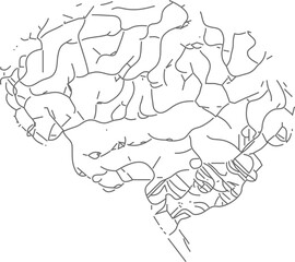 Gehirn Linien Skizze - Seitenansicht