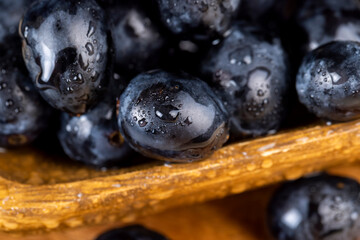 washed ripe black grapes covered with drops of water