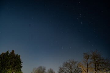 Fototapeta na wymiar Bäume im Nachthimmel unter Sternen