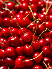 Kirschteppich mit grünen Stielen