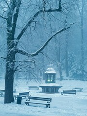 Snowy city park.